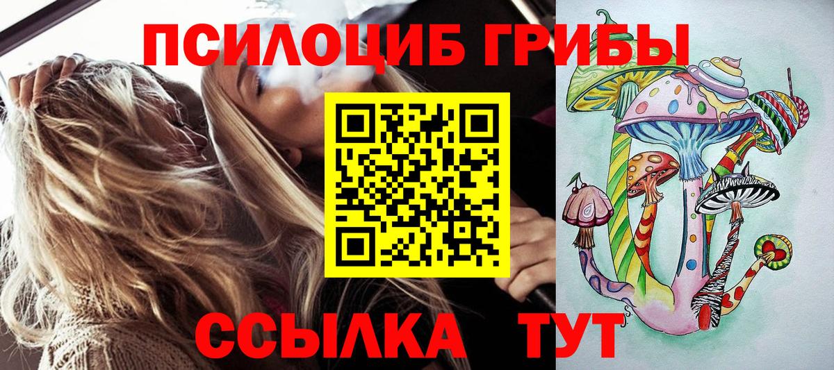 Псилоцибиновые грибы GOLDEN TEACHER Черкесск