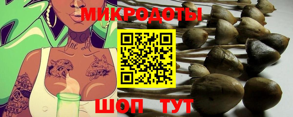Черкесск  Галлюциногенные грибы Magic Shrooms  цена   Вход с VPN 